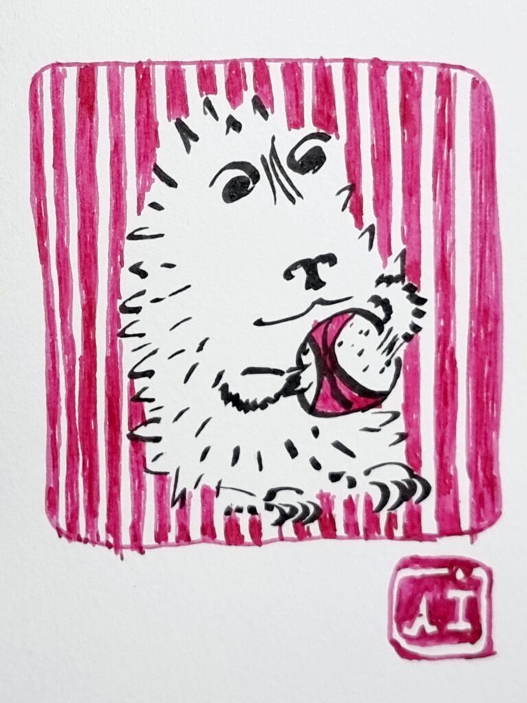Basketball Hedgy