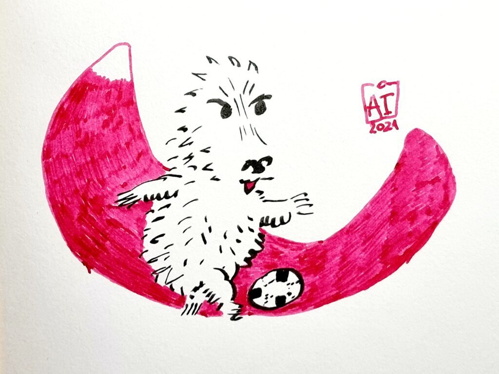 Football Hedgy