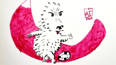 Drawing Hedgy