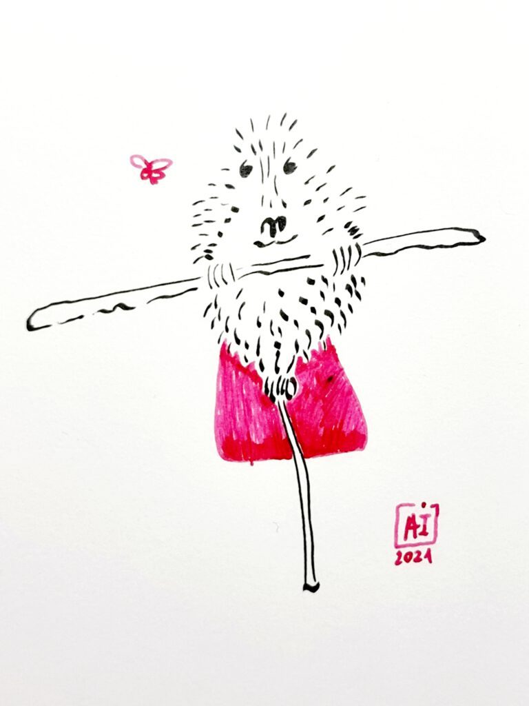 Tightrope Hedgy