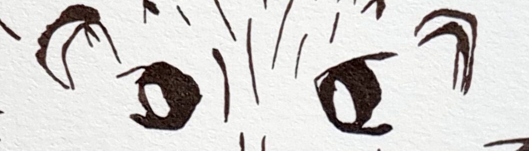 Cousin Chorm Header