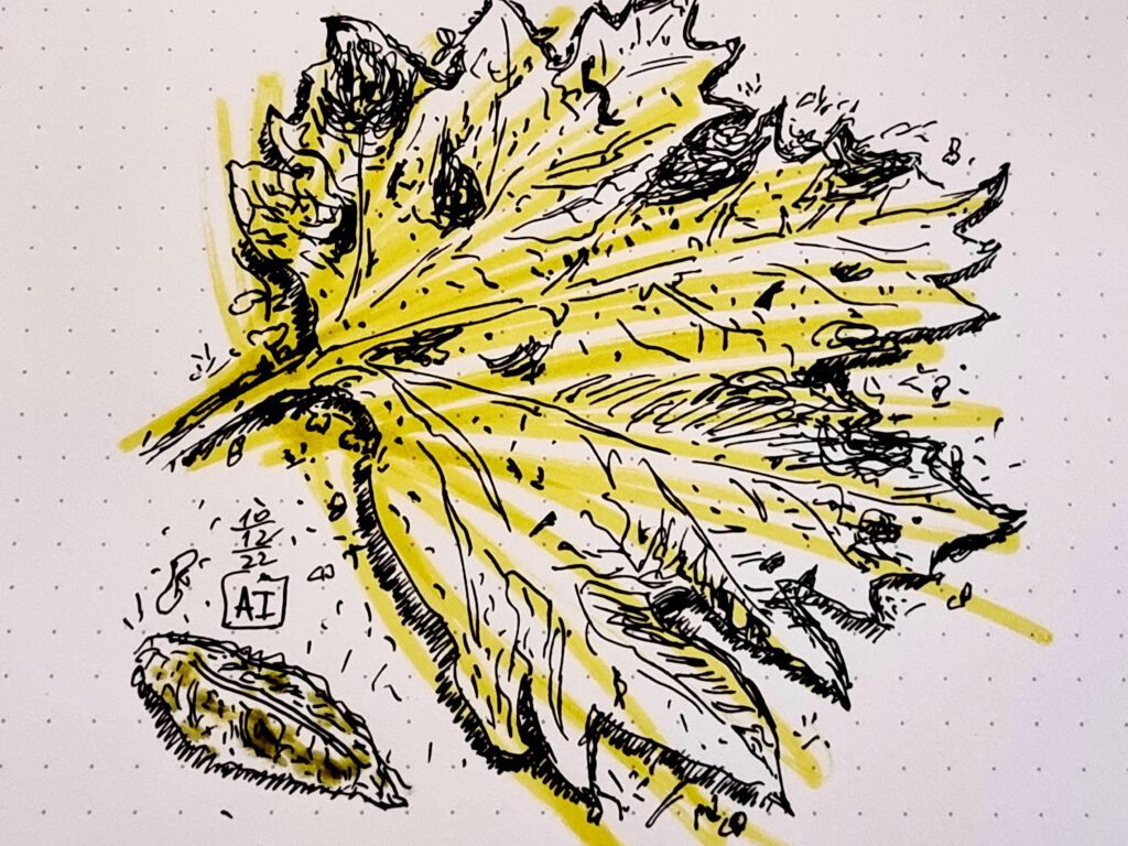 Drawing made with a PILOT SUPER 200 with 14k POSTING nib