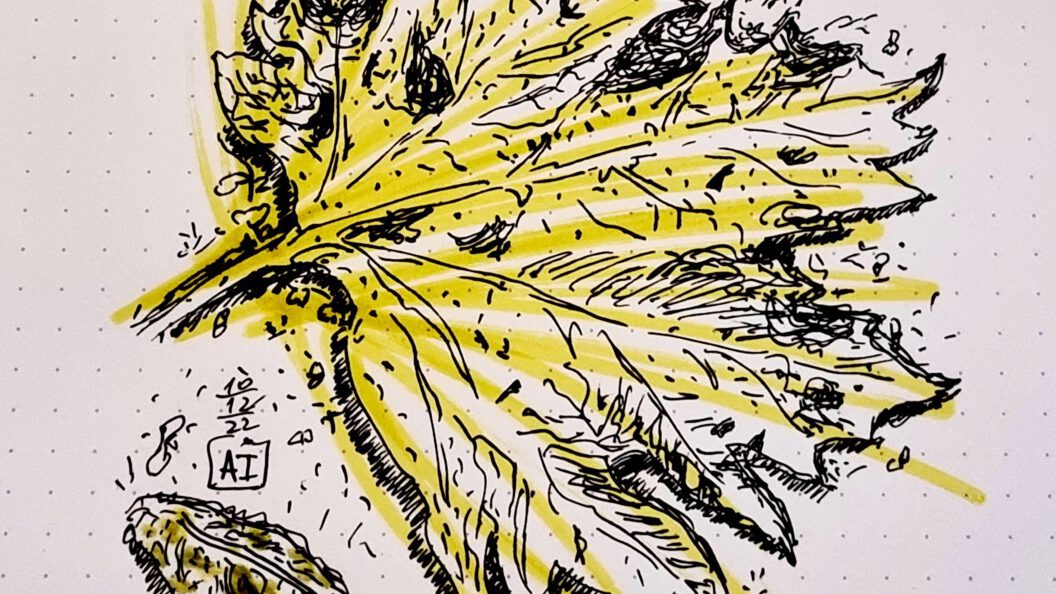 Drawing made with a PILOT SUPER 200 with 14k POSTING nib