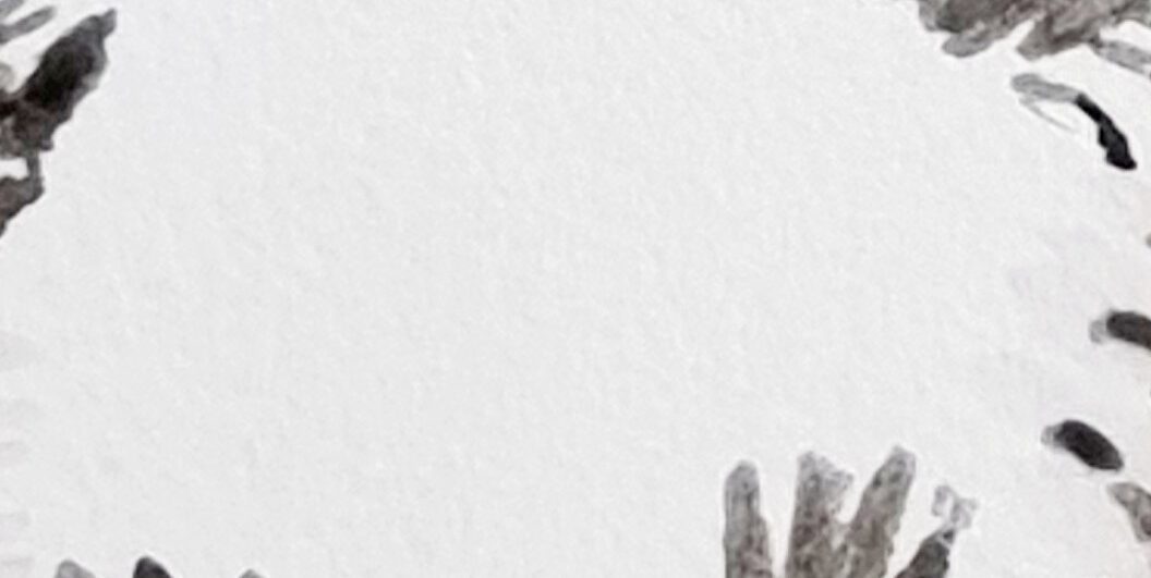 Little Hedgy Header