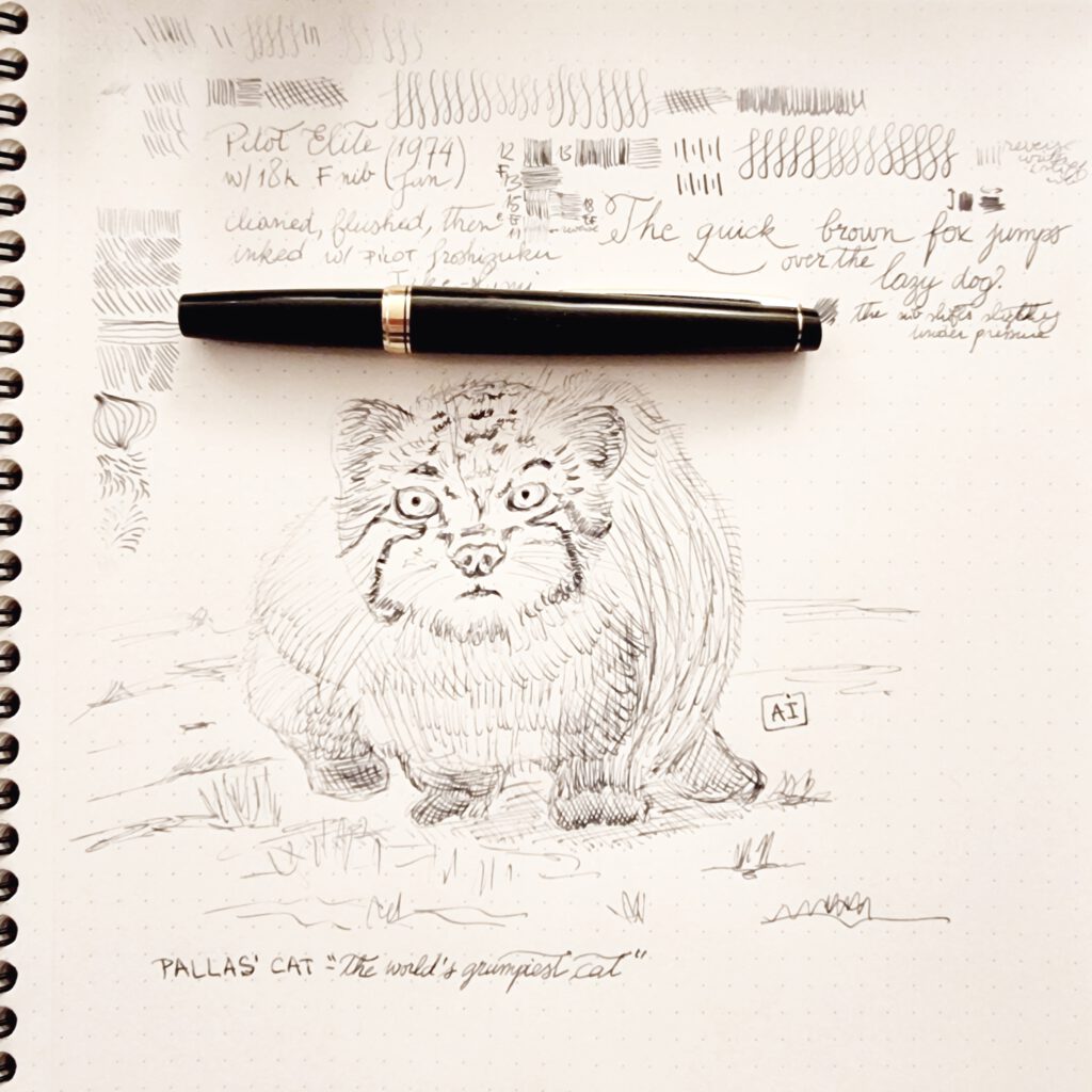 PILOT Elite - H774 18k F - Drawing and Writings Sample