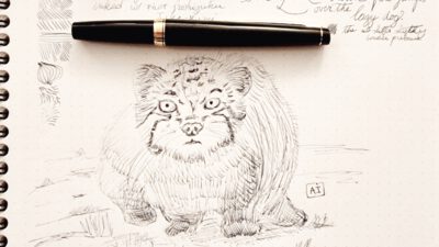 Drawings Index