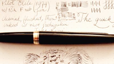 Pallas’ cat, the grumpiest in the world -OR- PILOT Elite with 18k F nib (1974)