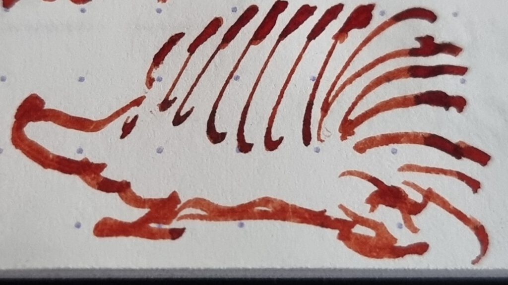 Pilot Custom Grandee H1079 MS nib - Hedgy drawing