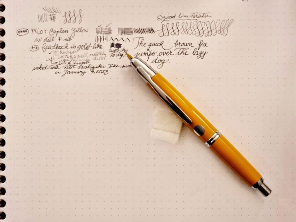 Full Pen and Writing Sample - Pilot Capless 2016